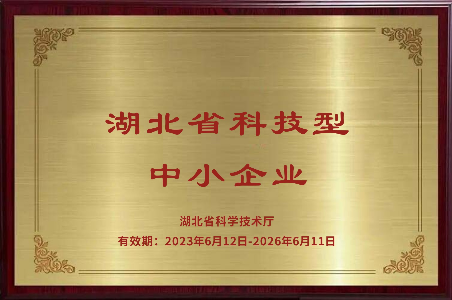 湖北省科技型中小企业